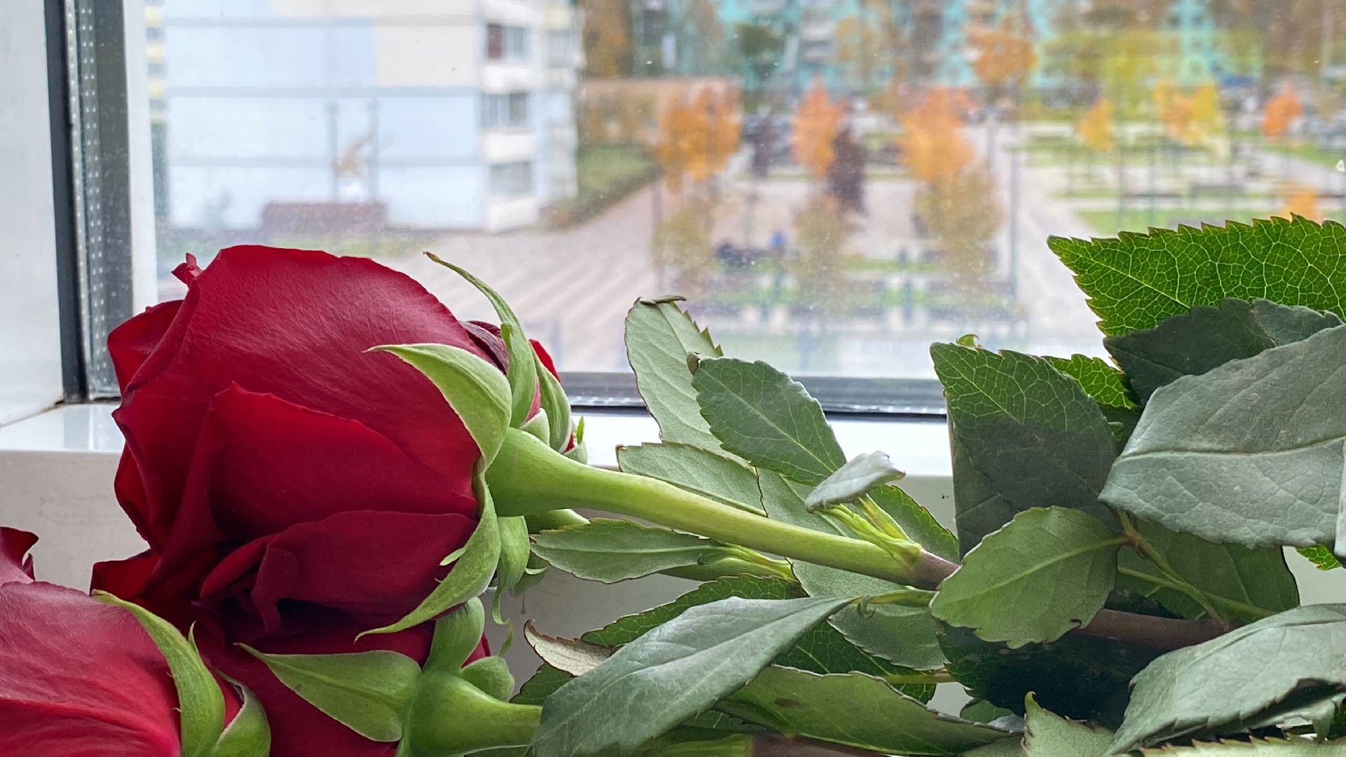 волоколамск, сво, спецоперация, герои, герои сво, фотопроект, фотографы, женщины,