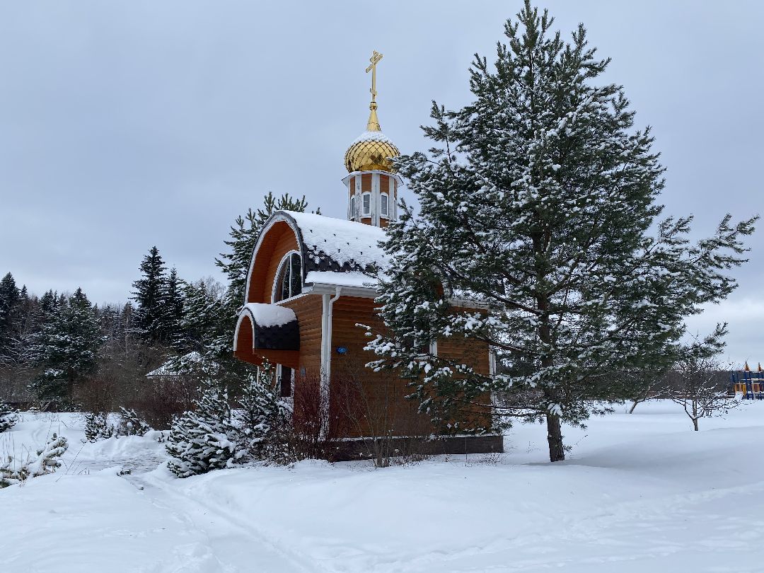 Шаховская, туризм, эко-отель