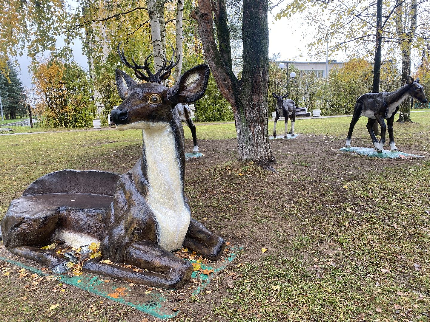 волоколамск, теряево, школа, школьники, школьная жизнь, орлята россии, младшеклассники, начальная школа, дети,