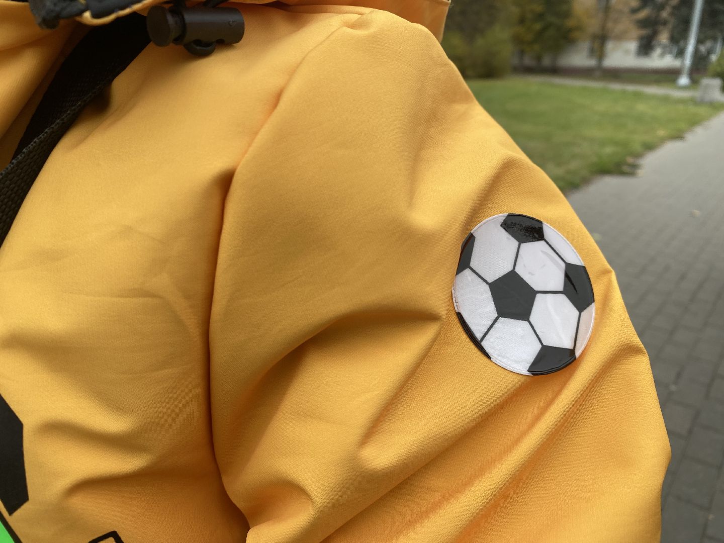 домодедово, подмосковье, ГАИ, гибдд, Засветись, пропаганда бдд, единая россия, мотолюбители, акция Засветись, безопасные дороги, фликер,