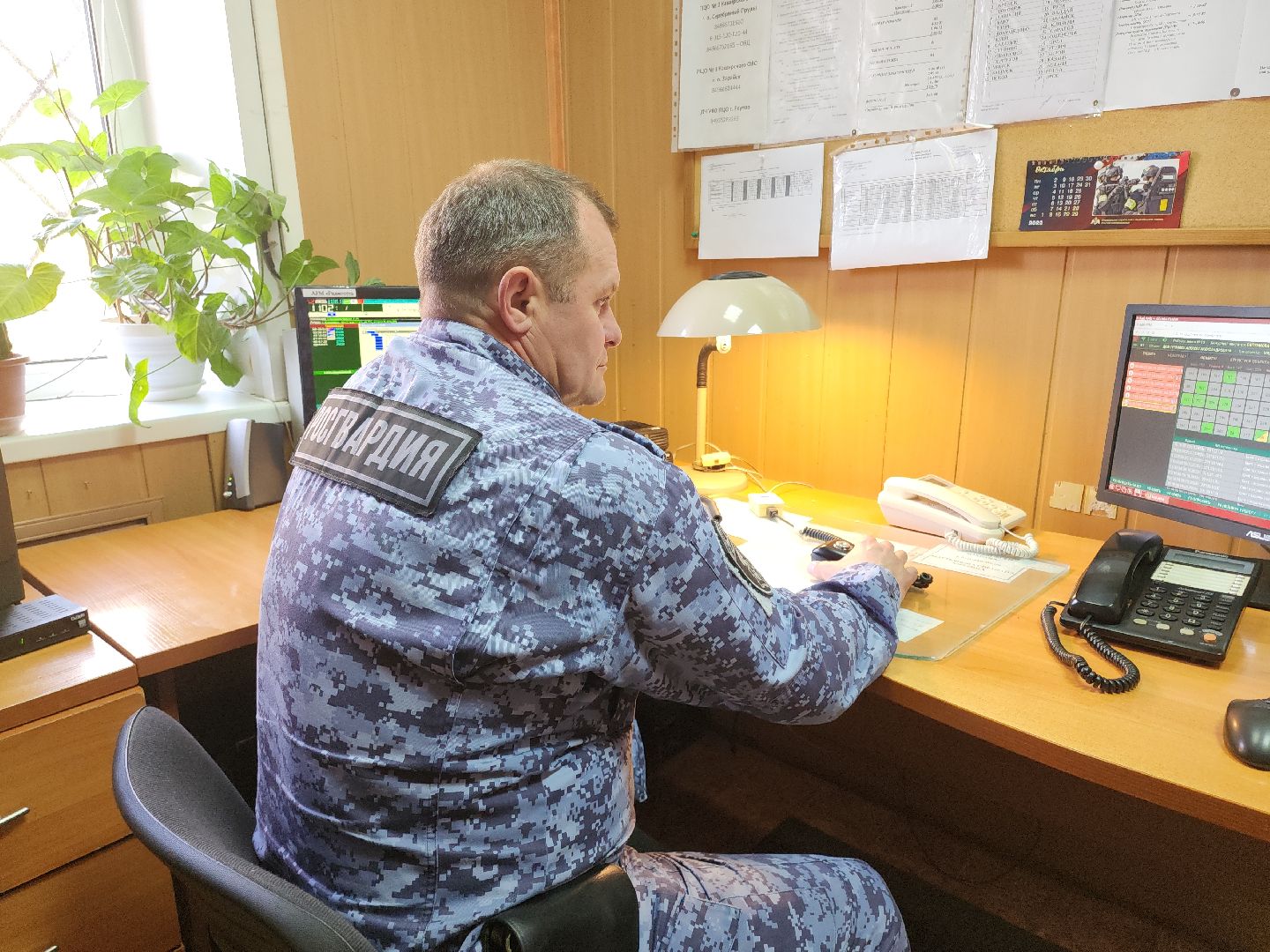 кашира, ожерелье, росгвардия, вневедомственная охрана, кража, задержание, вор, торговый объект,