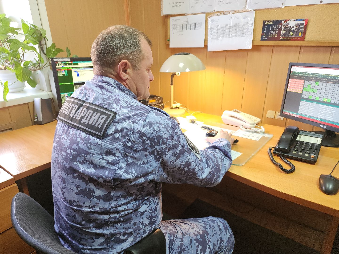 кашира, ожерелье, росгвардия, вневедомственная охрана, кража, задержание, вор, торговый объект,