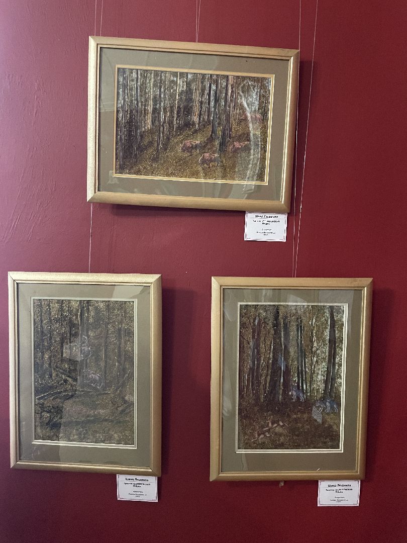 волоколамск, волоколамский кремль, выставка картин,