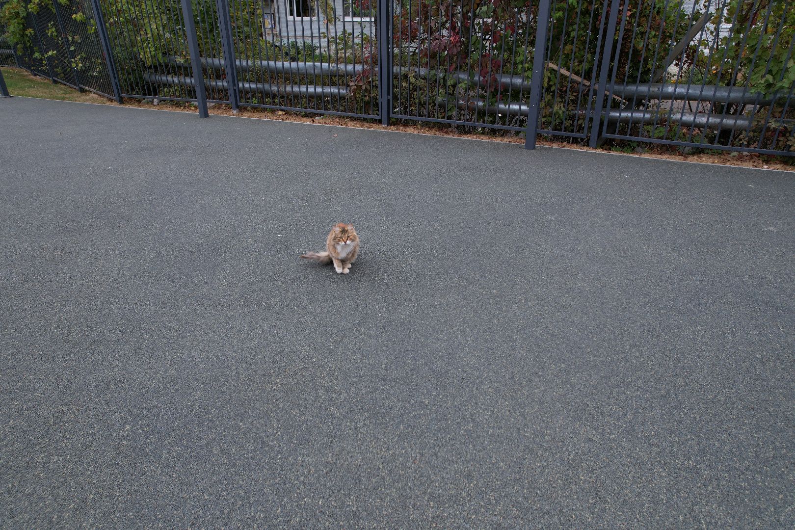 одинцово, интернат, школа,видео с коптера,