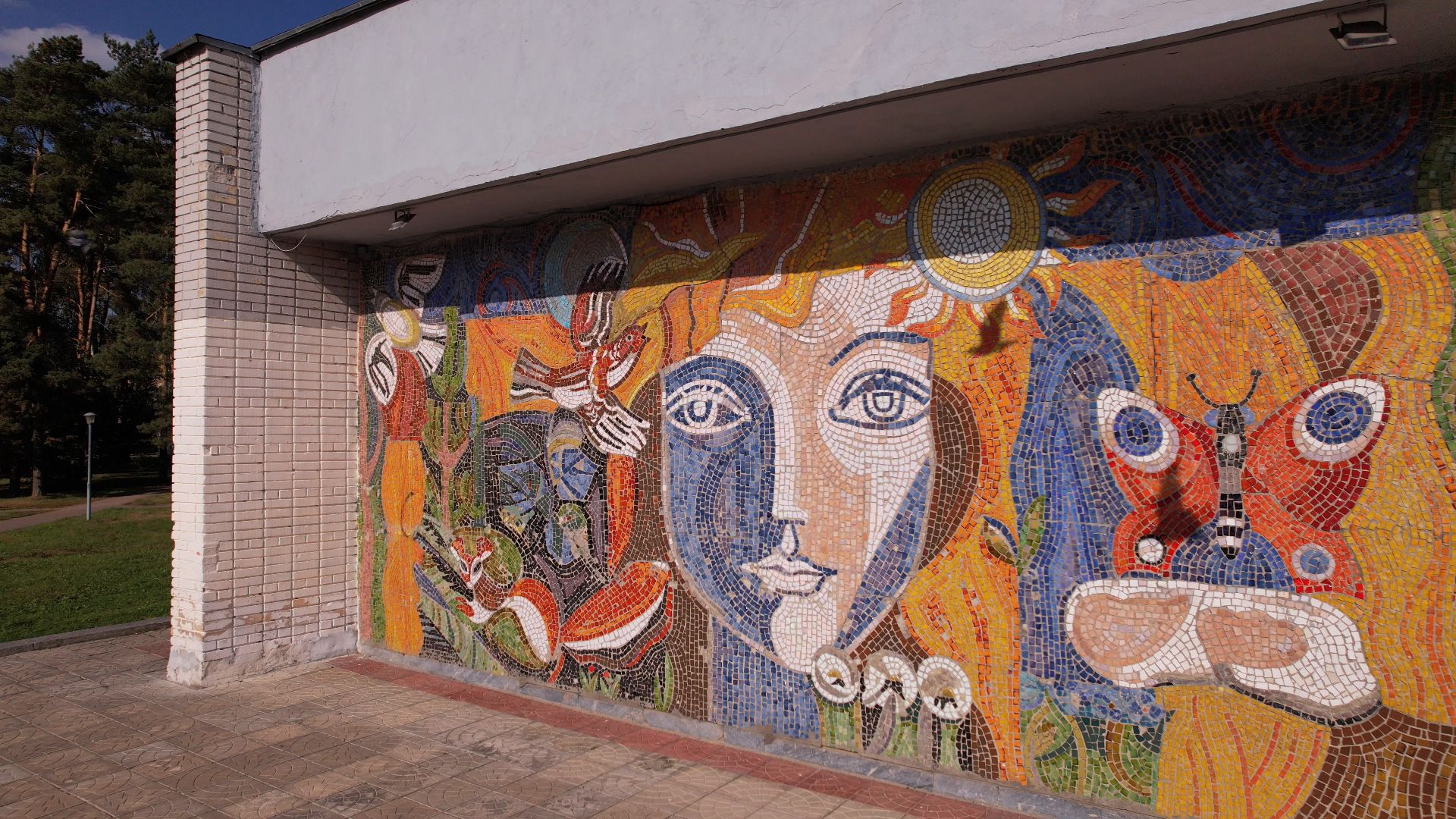 черноголовка, дом, ученых,видео с коптера,