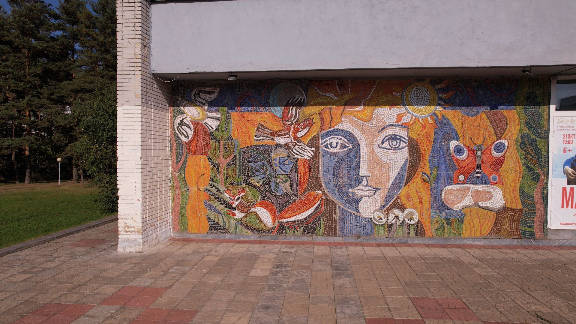 черноголовка, дом, ученых,видео с коптера,