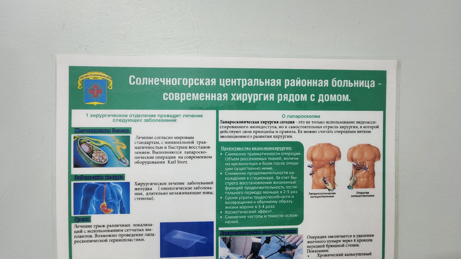 Солнечногорск, медицина, хирургия, спасение, грибы,