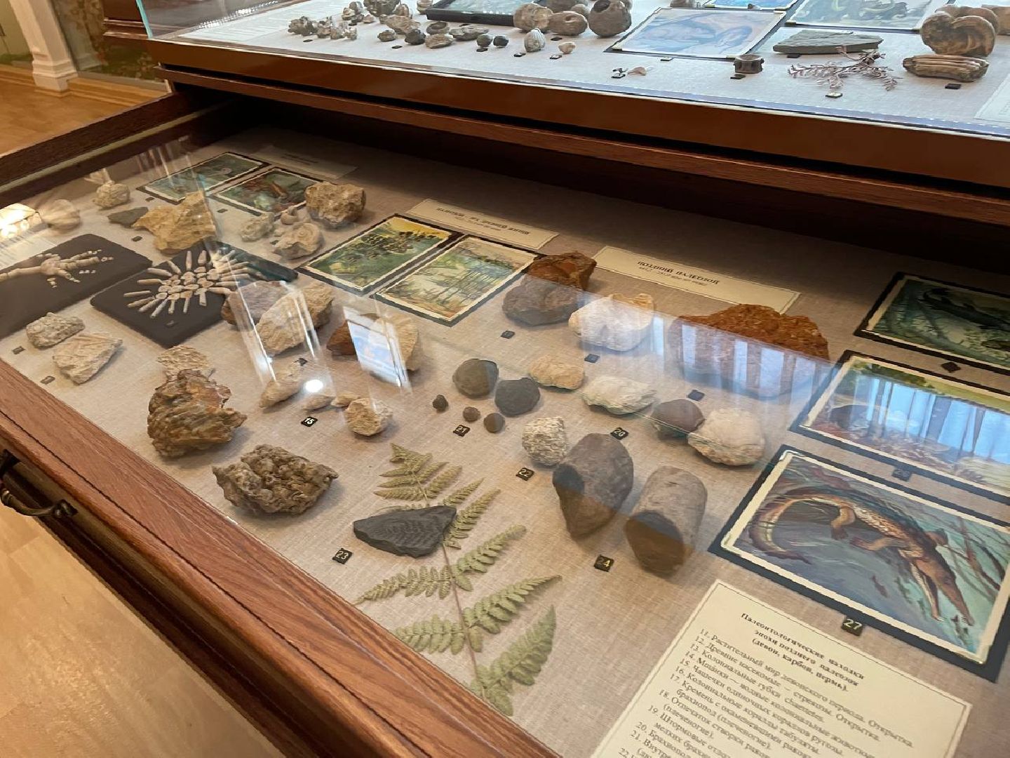 лыткарино, музей,