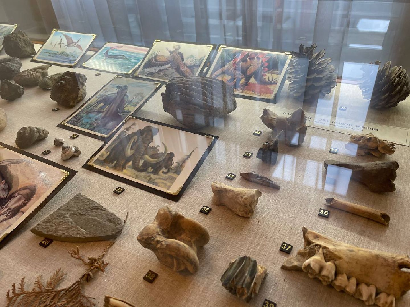 лыткарино, музей,