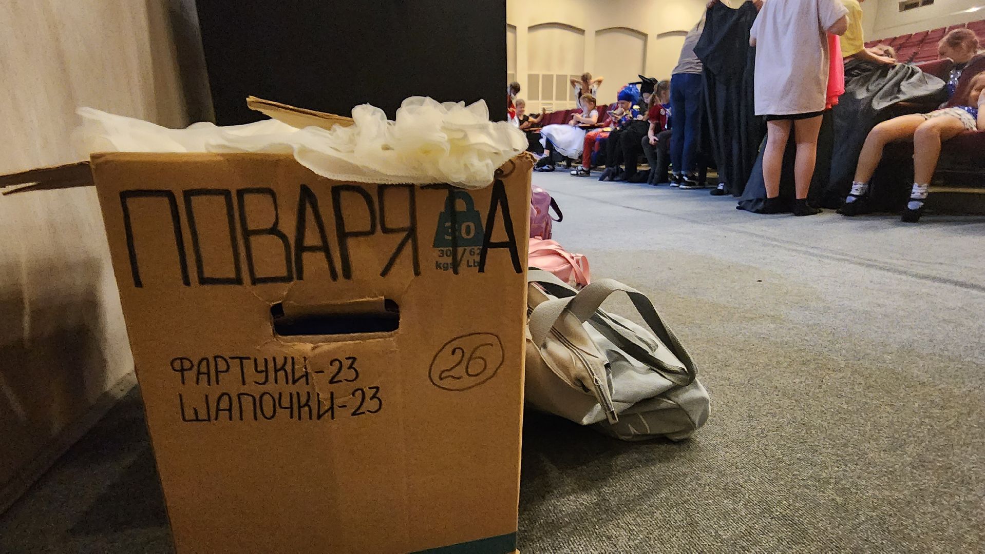 подмосковье, городской округ пушкинский, ивантеевка, культура,