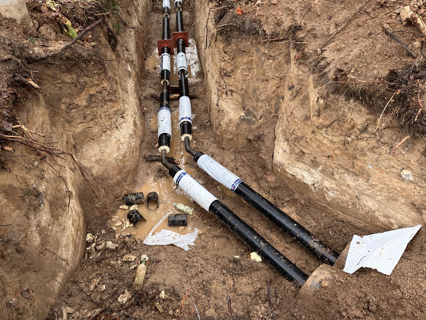 шаховская, фап, строительство, медицина,