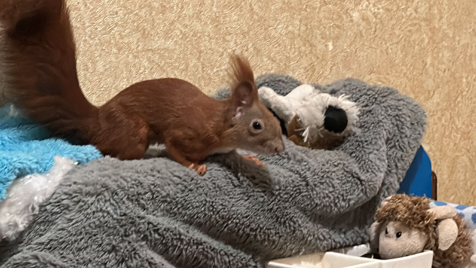 Одинцово, Щебекино, Подмоковье,