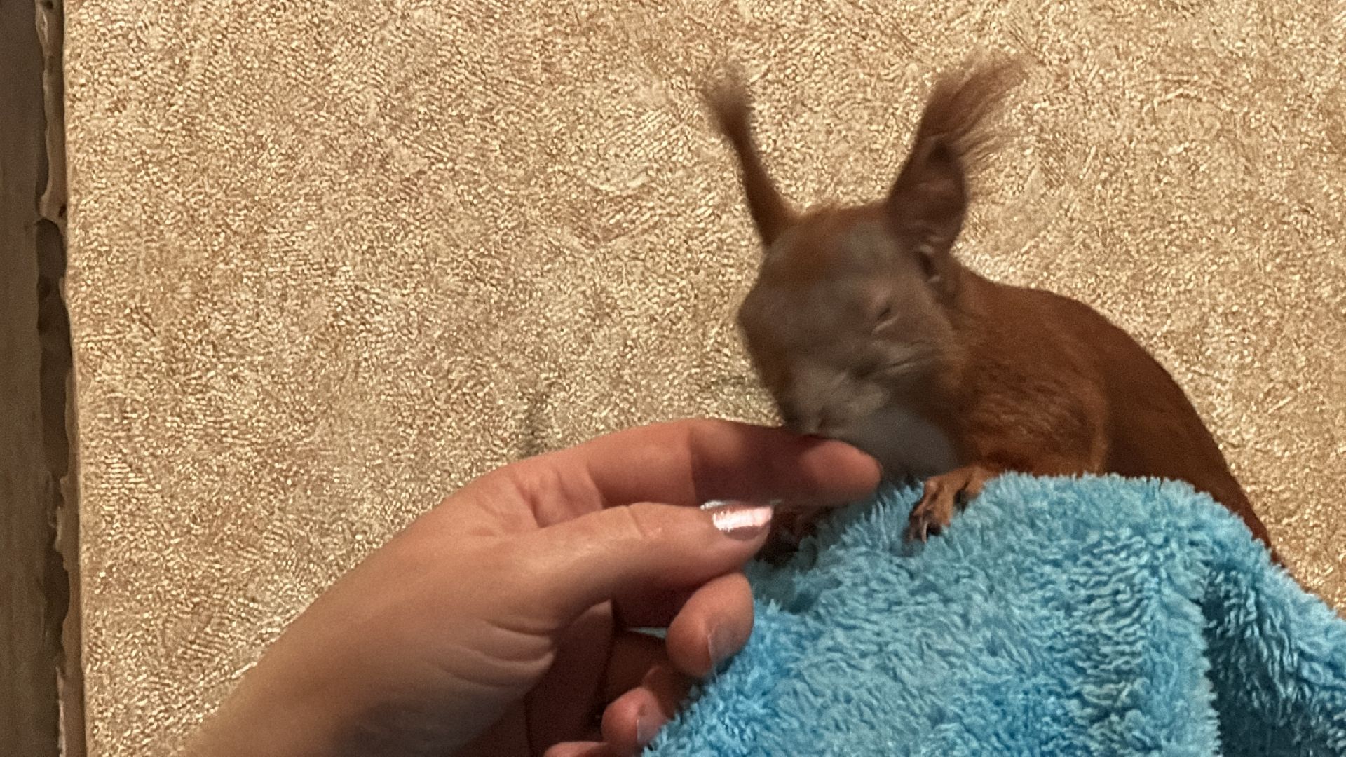 Одинцово, Щебекино, Подмоковье,