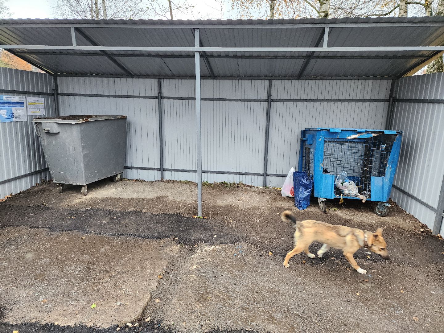 Серпухов, Подмосковье, Шарапова Охота, Мусорные контейнеры,