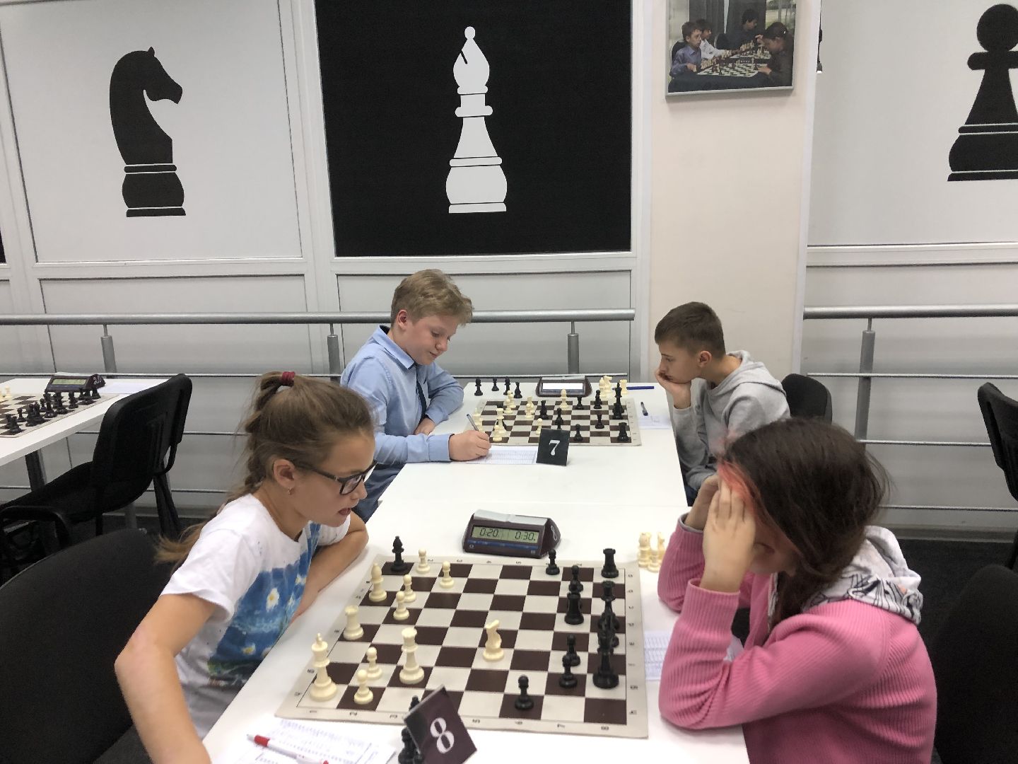 химки, подмосковье, спорт, шахматы,