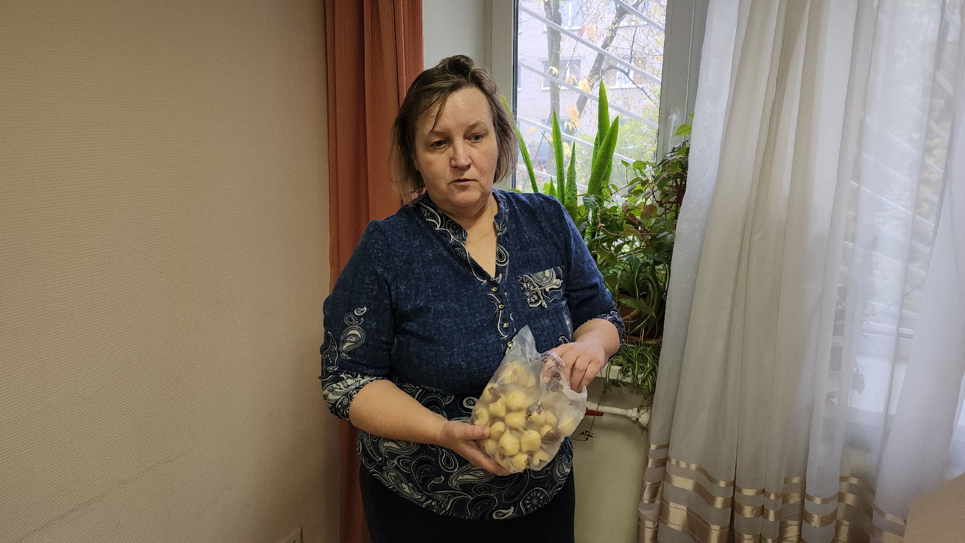 Пантелеимоновский приход, цветы, тюльпаны, луковицы, молодая гвардия, Пушкарева, ВООПИК, Город-сад,