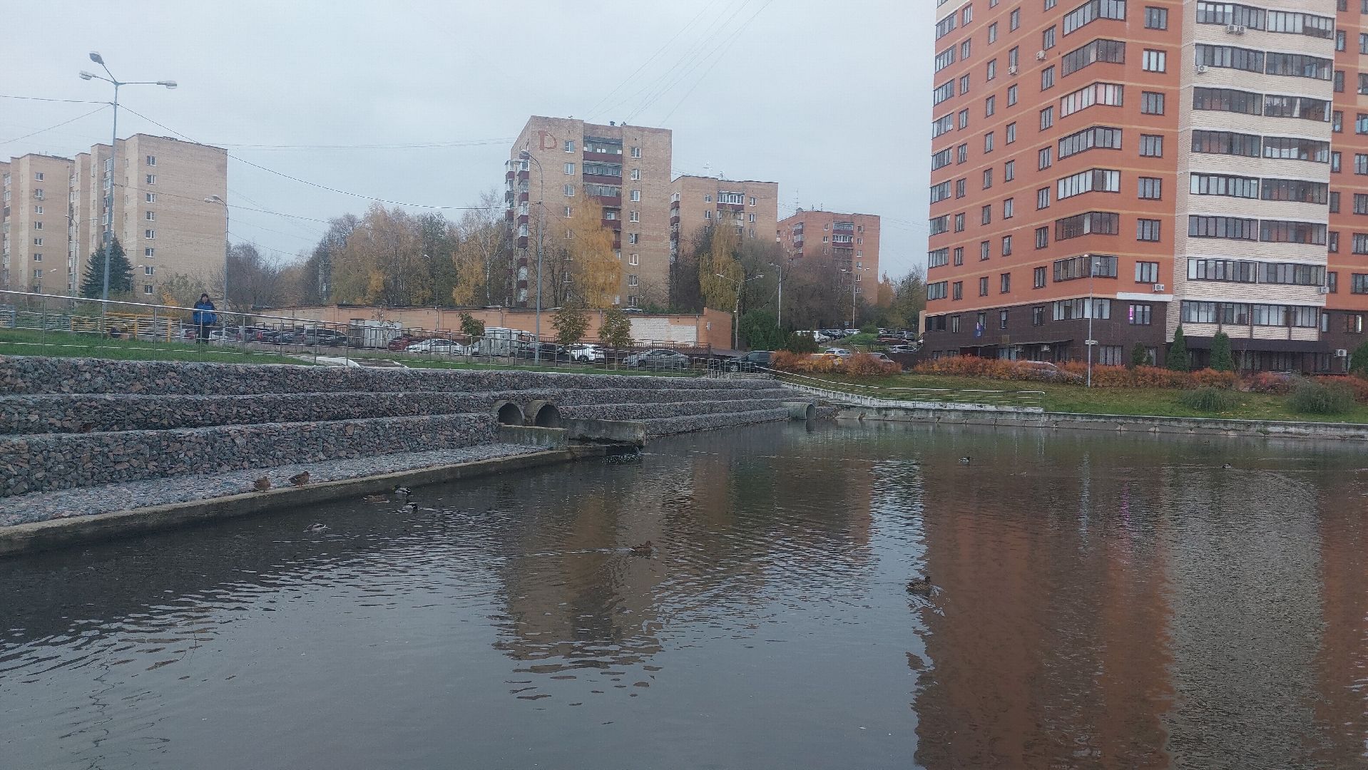 благоустройство, город чехов, пруды, Площадки, спорт подмосковья, губернатор московской области, Воробьёв,