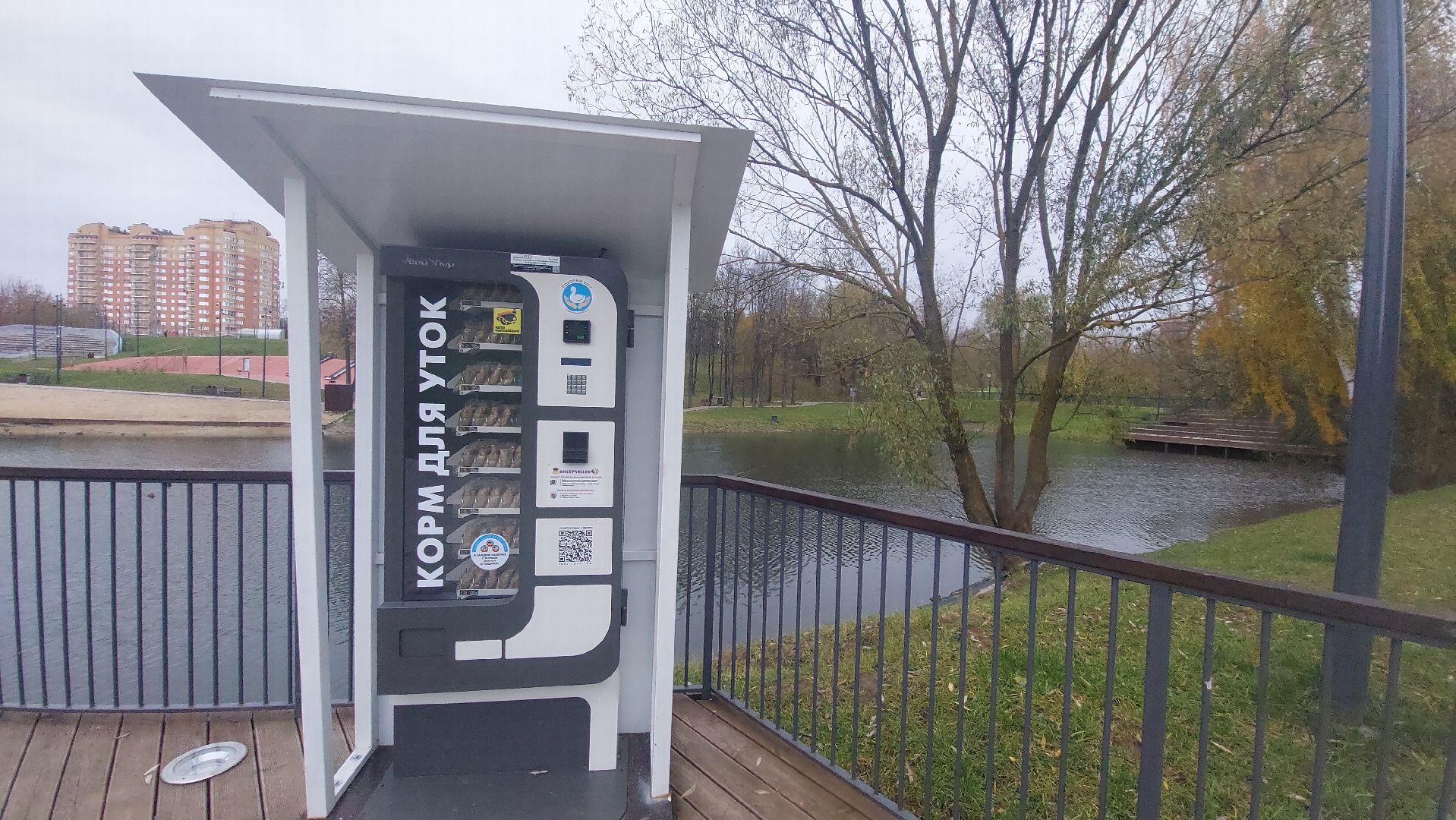 благоустройство, город чехов, пруды, Площадки, спорт подмосковья, губернатор московской области, Воробьёв,