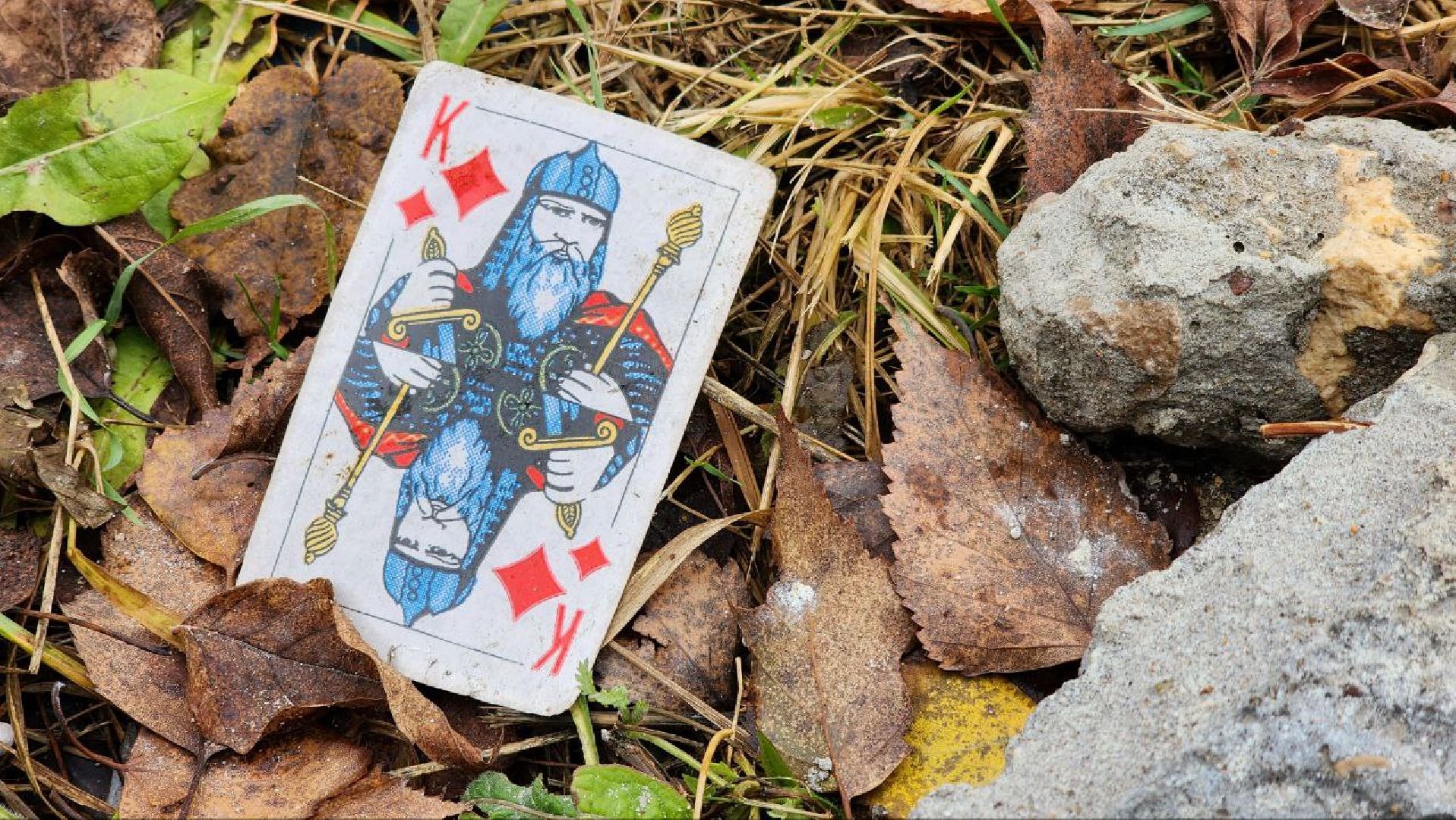 Дмитров, Икша, Минблаго,