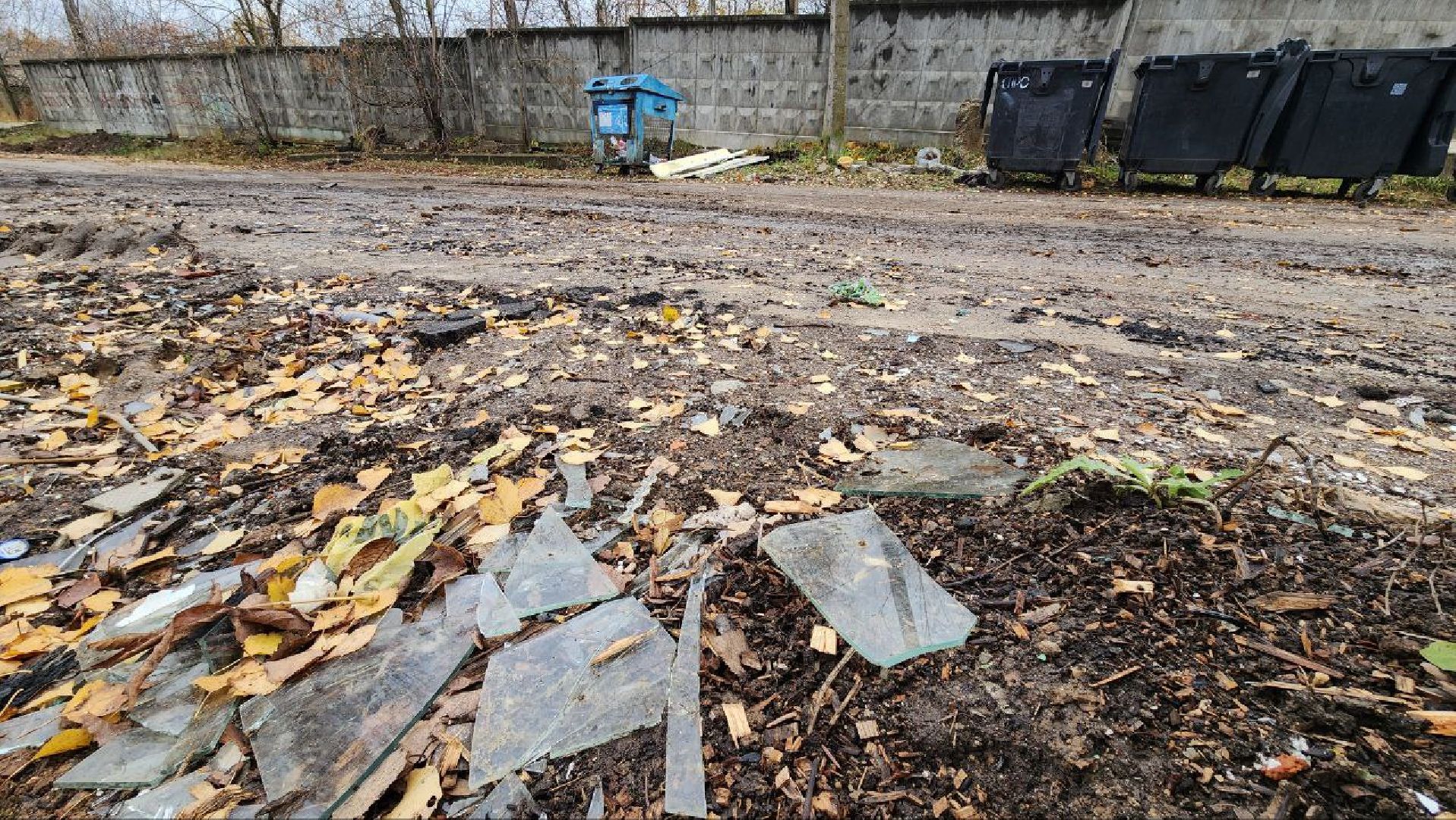 Дмитров, Икша, Минблаго,