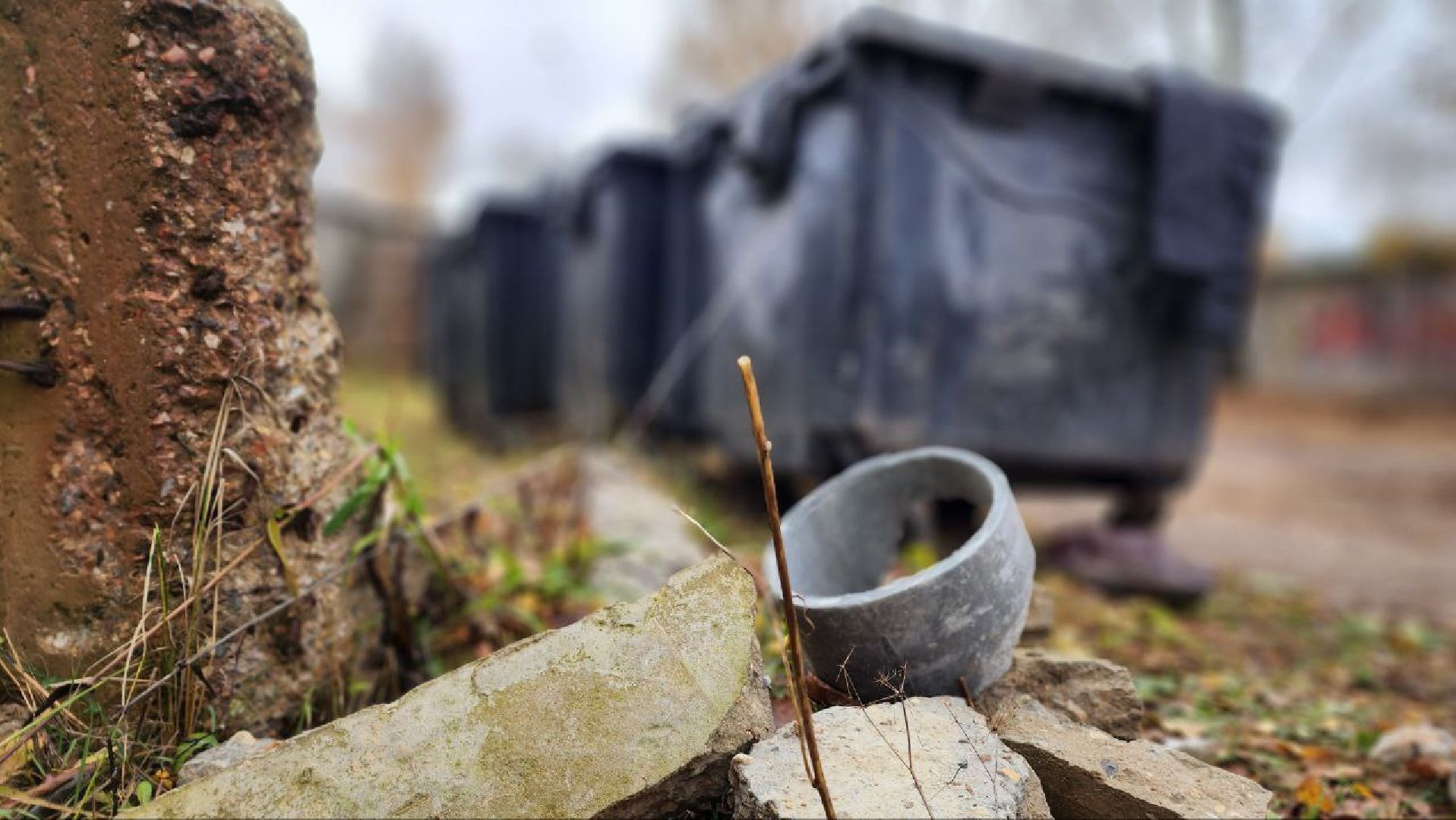 Дмитров, Икша, Минблаго,