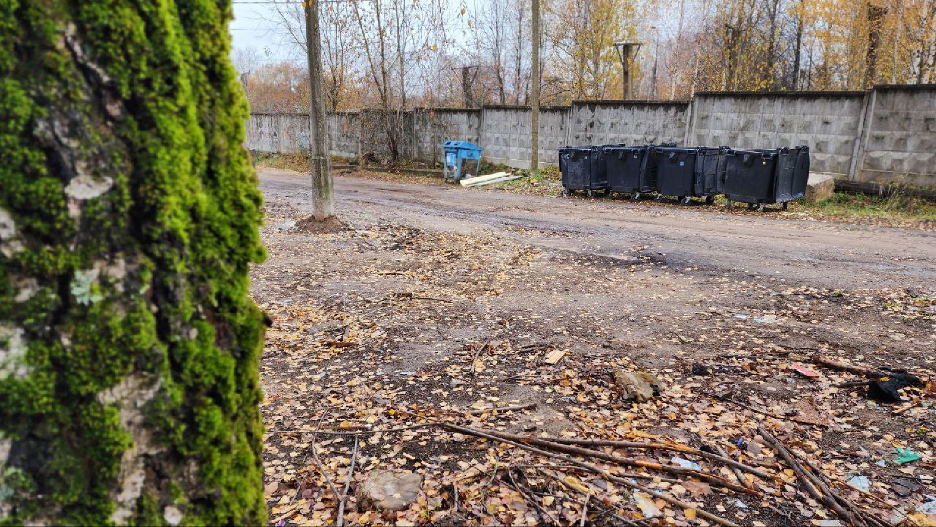 Дмитров, Икша, Минблаго,