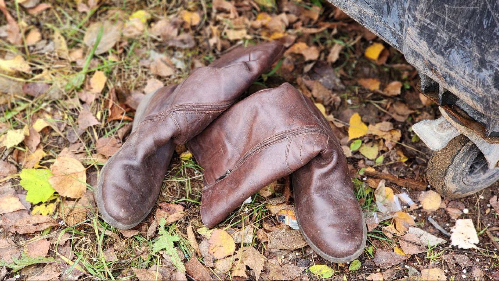 Дмитров, Икша, Минблаго,