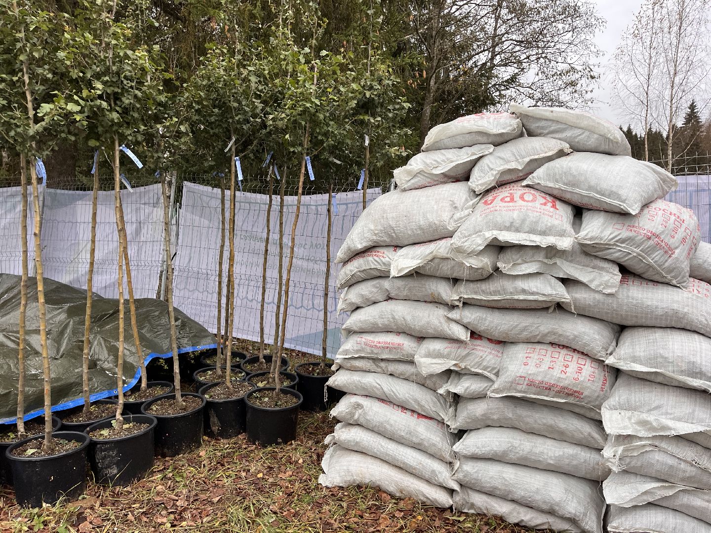 шаховская, плотина, благоуйстройство, строительство,