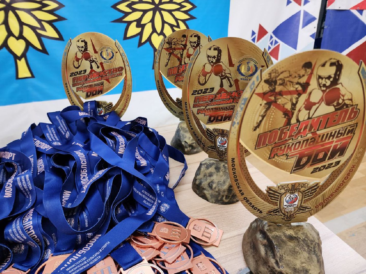 Солнечногорск, рукопашный бой, спортсмены, медали, Победа,