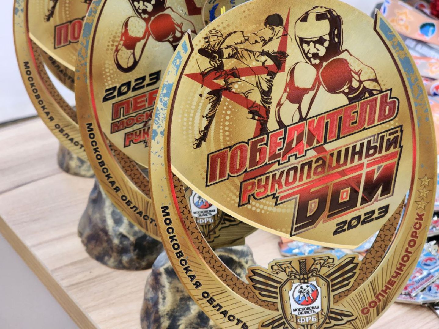 Солнечногорск, рукопашный бой, спортсмены, медали, Победа,