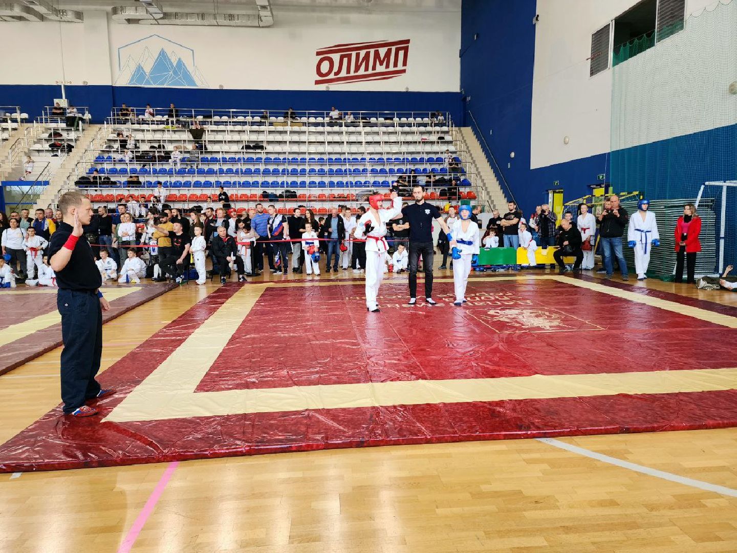 Солнечногорск, рукопашный бой, спортсмены, медали, Победа,