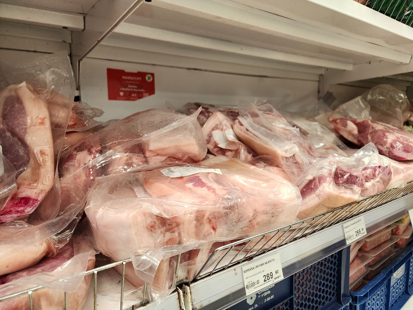 ступино, вред вегетарианства, веганы, медицина,