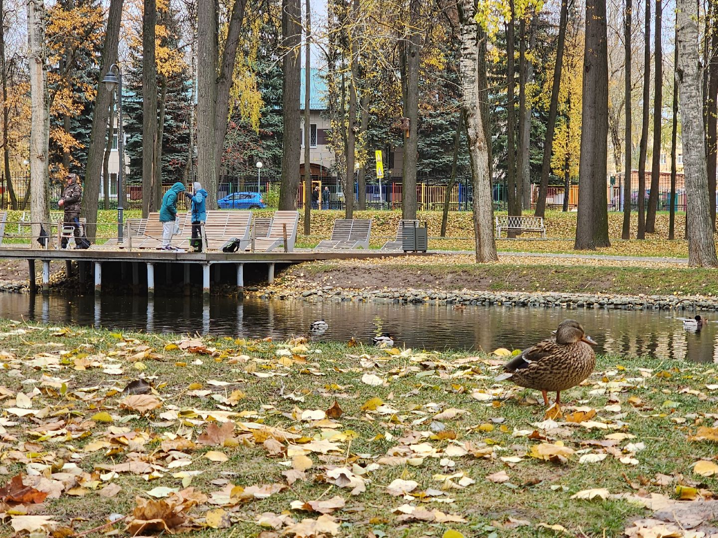 воскресенск, парк, кривякино, жители, рыбалка,