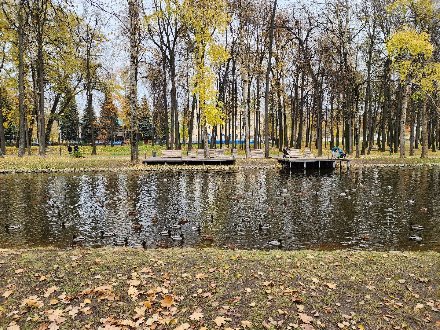 воскресенск, парк, кривякино, жители, рыбалка,