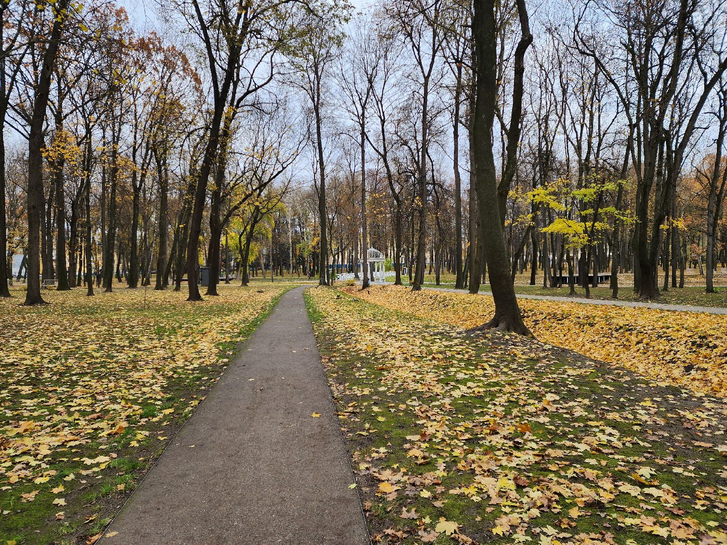 воскресенск, парк, кривякино, жители, рыбалка,