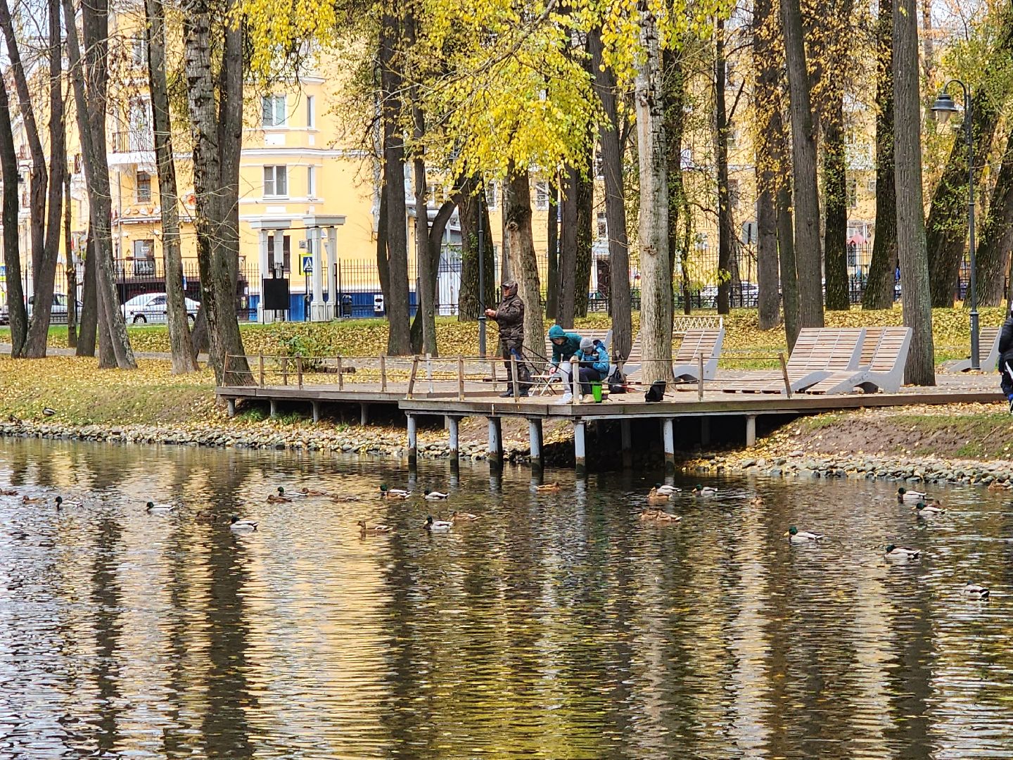 воскресенск, парк, кривякино, жители, рыбалка,