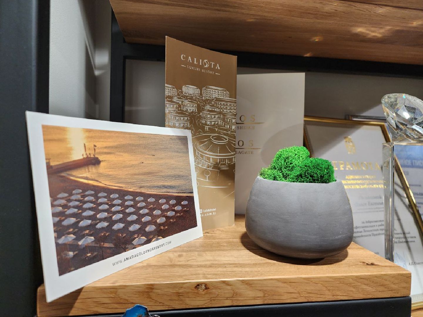 туризм, путевки, отдых на каникулах,путешествия, зима 2024,