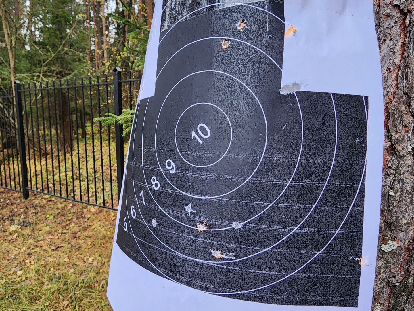 патриоты, егорьевск, подмосковье,