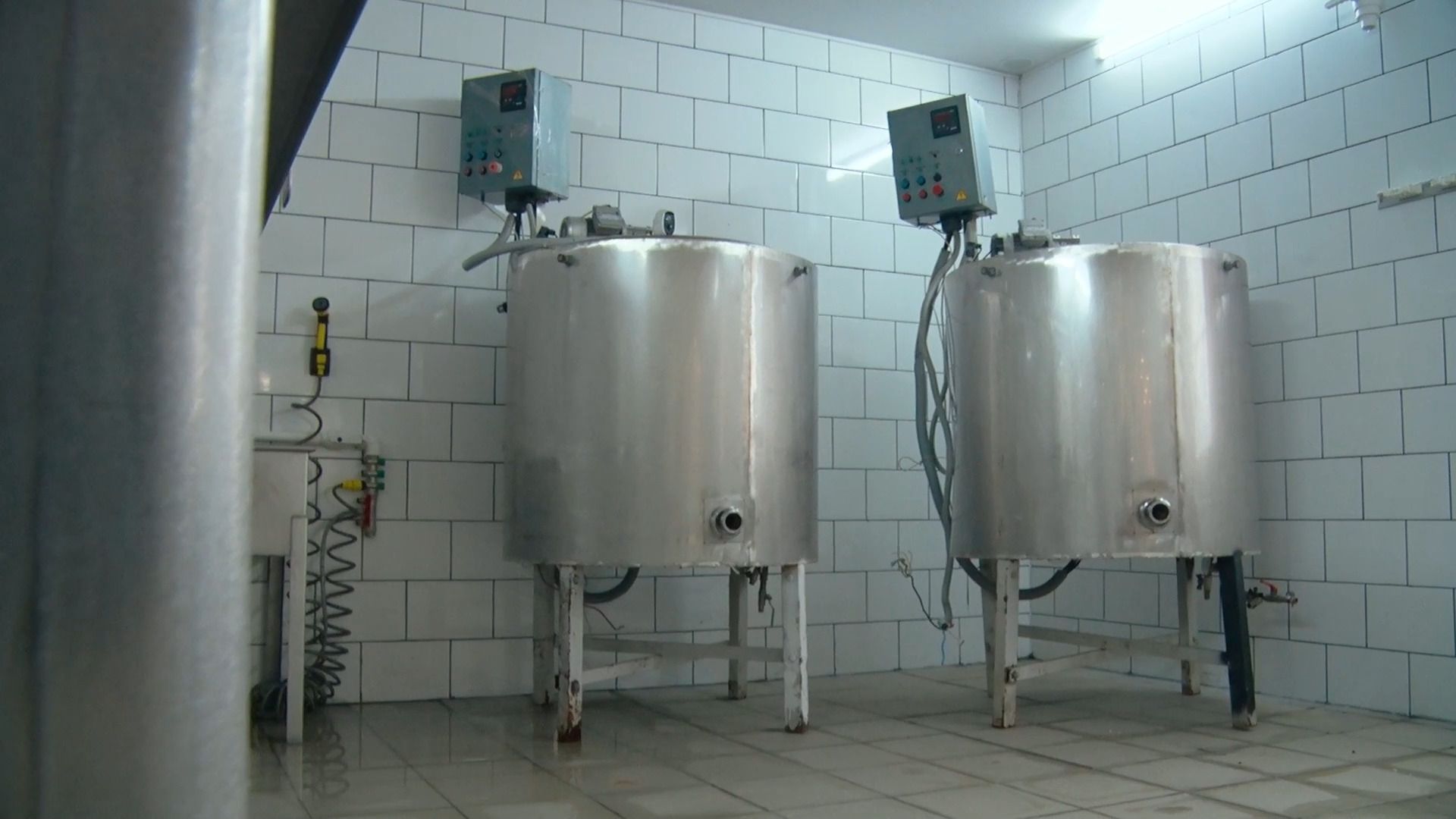 экономика, ферма, сыроварня, агротуризм, поддержка государства, орехово-зуево,