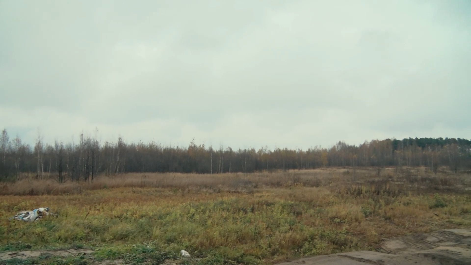 экономика, ферма, сыроварня, агротуризм, поддержка государства, орехово-зуево,