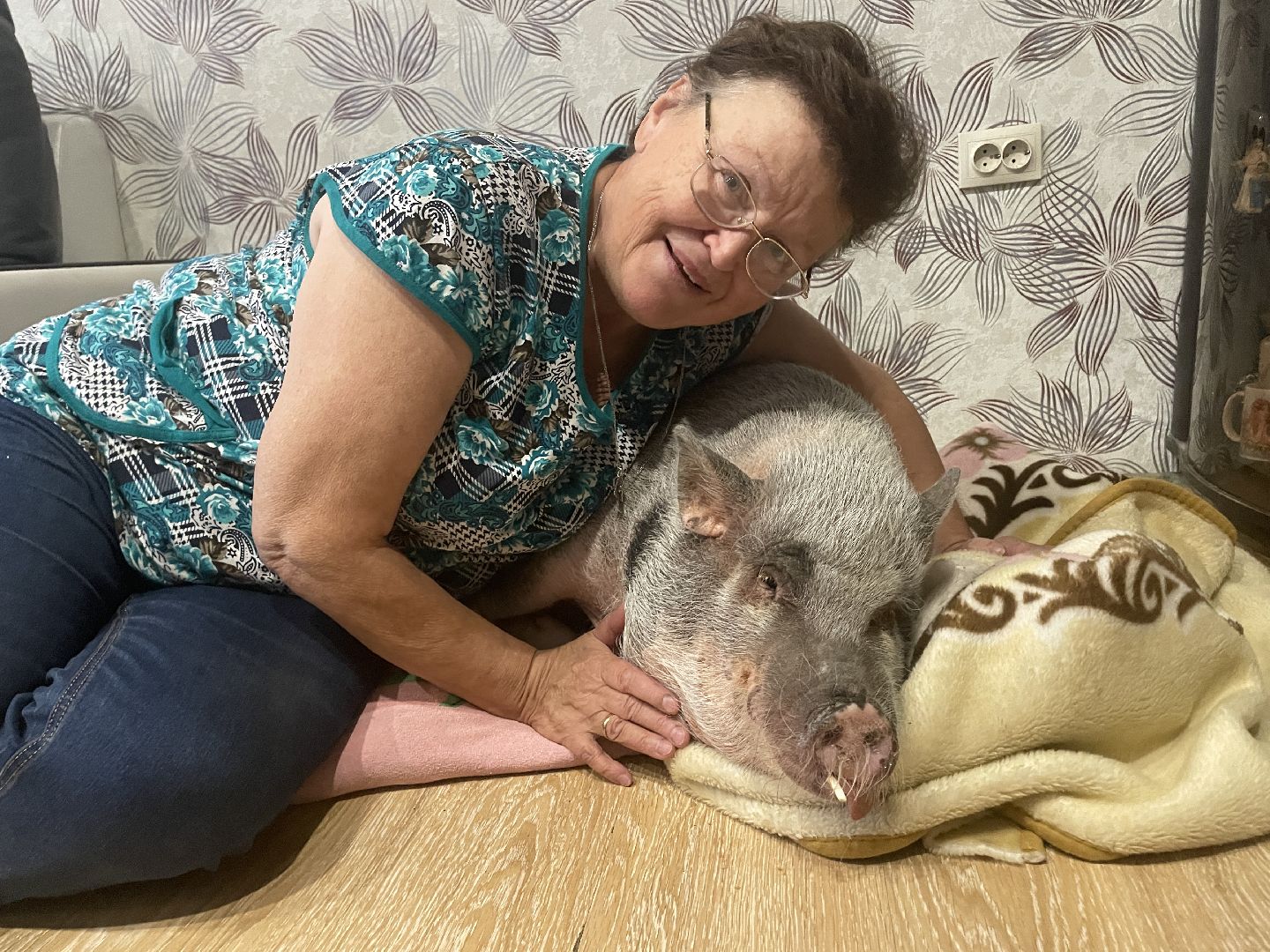 Волоколамск, Поросенок, Жужа,