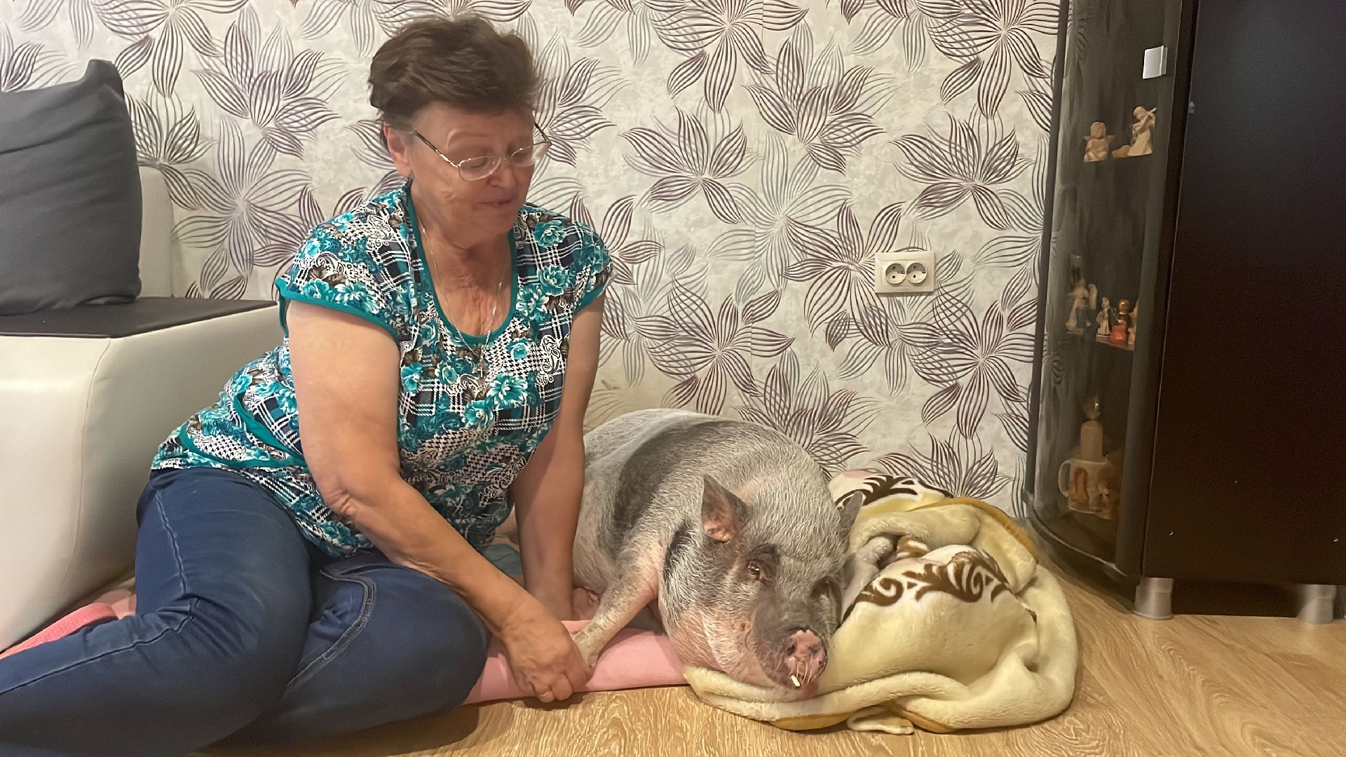 Волоколамск, Поросенок, Жужа,