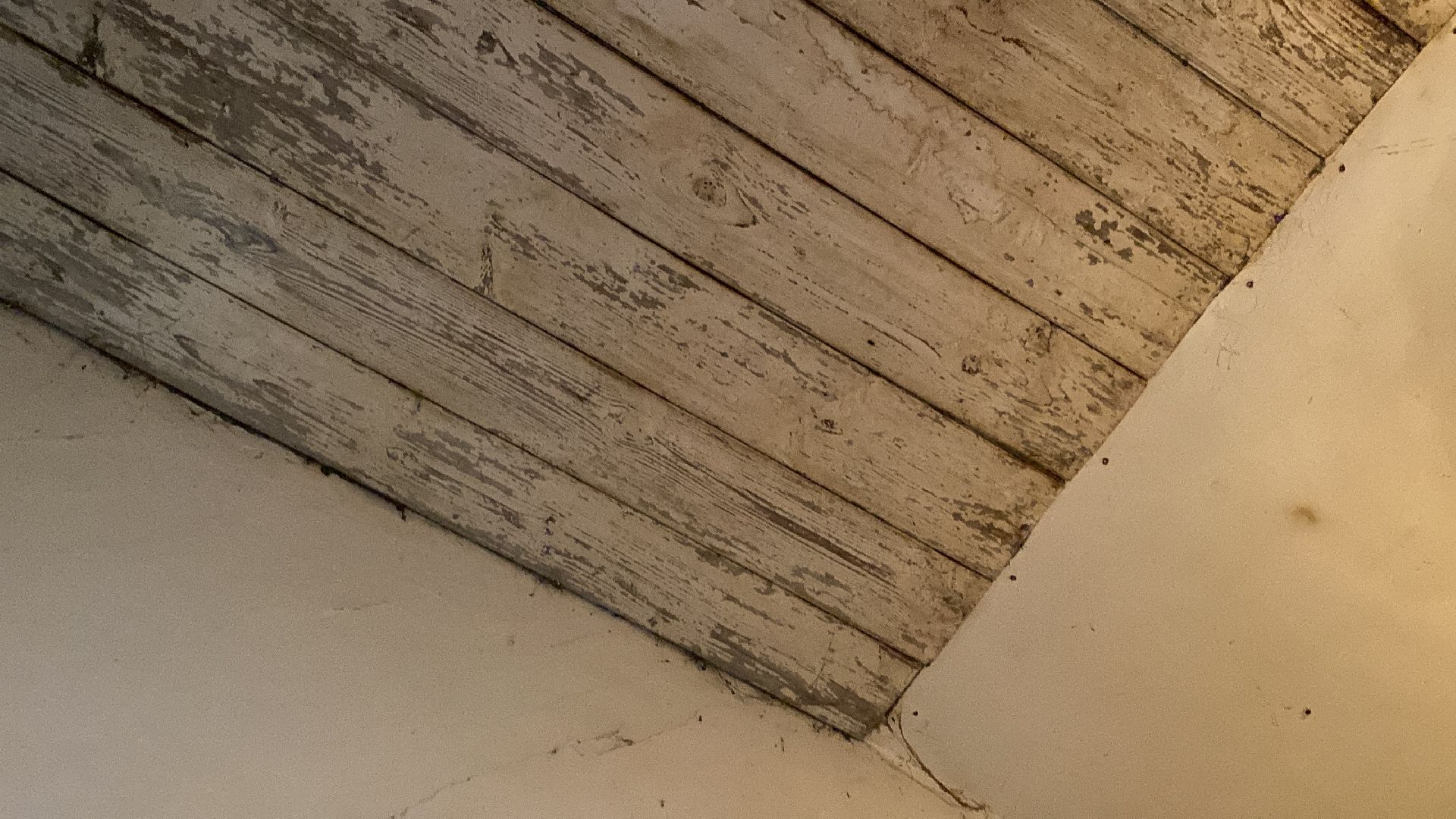 волоколамск, осташево, переселение, переселение из ветхого жилья, переселенцы, мкд, аварийное жилье,