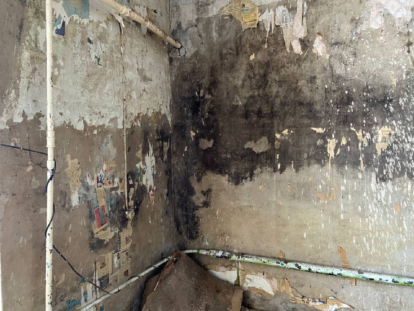 волоколамск, осташево, переселение, переселение из ветхого жилья, переселенцы, мкд, аварийное жилье,