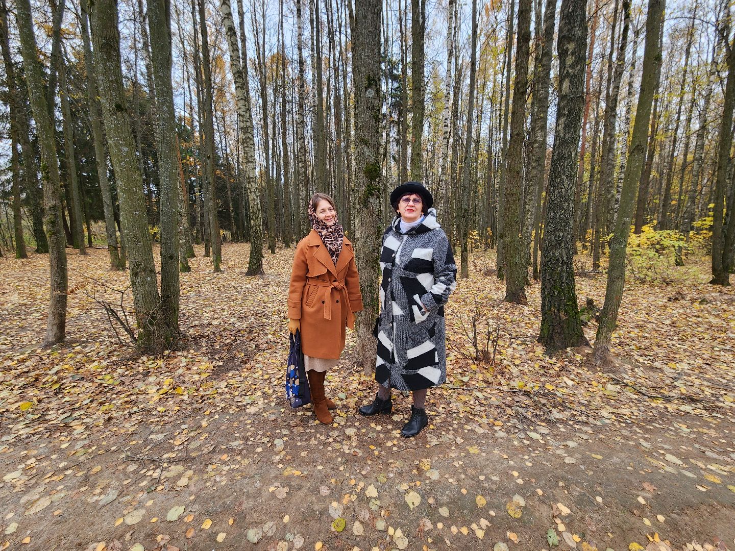 Звенигород, Благоустройство, Супоневский лес, Инициативная группа,