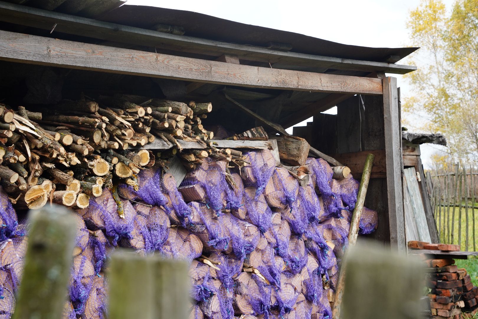 староста, Чернятино, Большая Шатура,