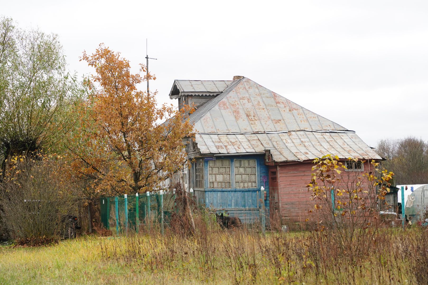 староста, Чернятино, Большая Шатура,