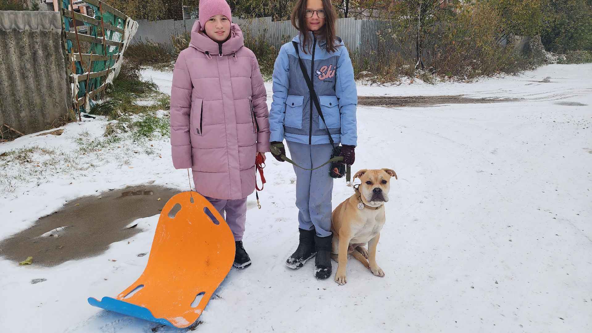 подмосковье, городской округ пушкинский, Ивантеевка, Первый снег, Город это люди, дети,