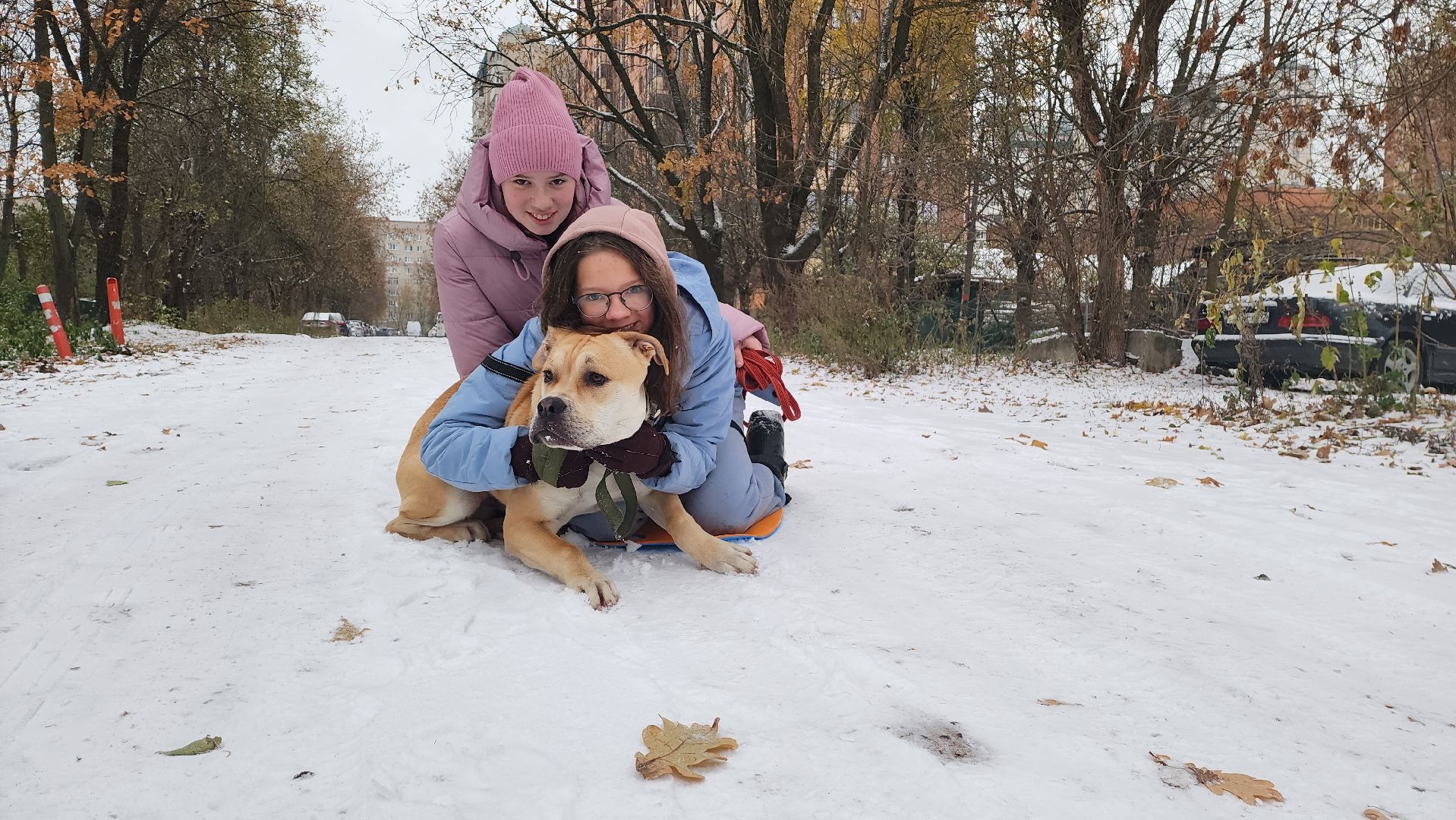 подмосковье, городской округ пушкинский, Ивантеевка, Первый снег, Город это люди, дети,