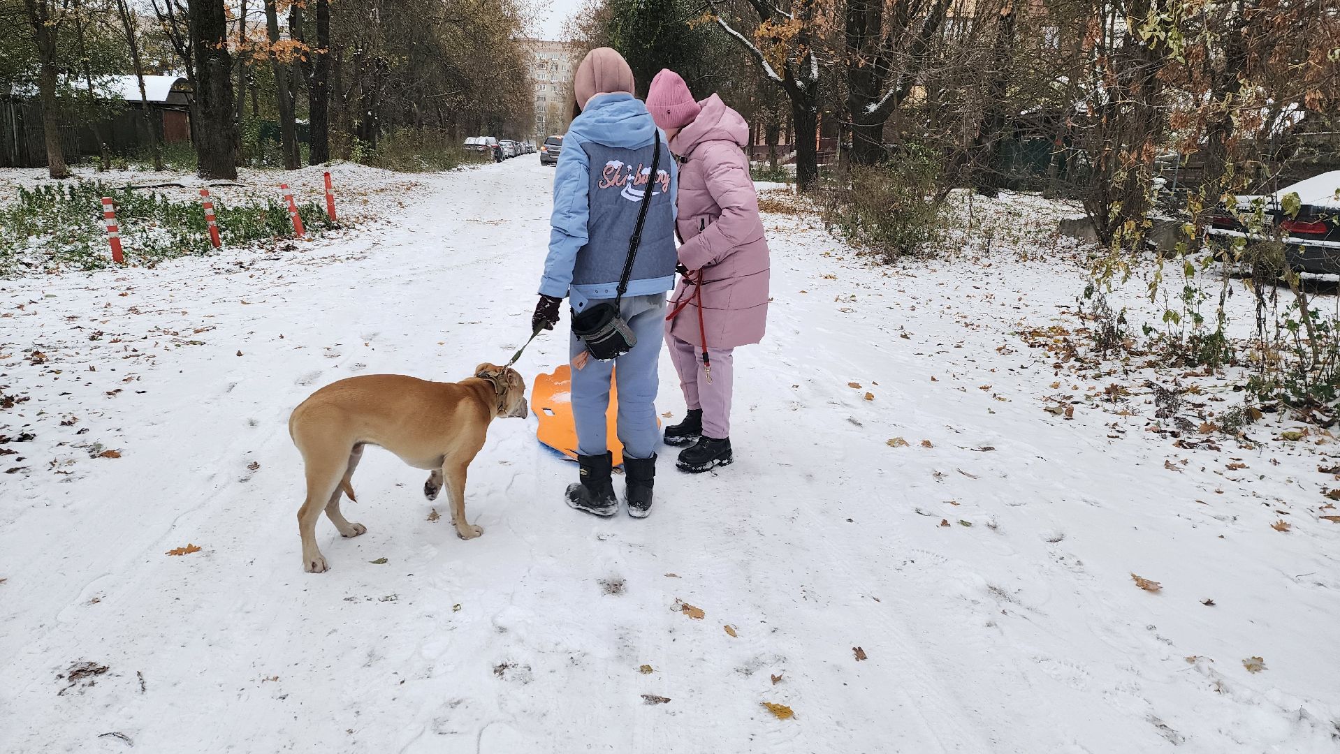 подмосковье, городской округ пушкинский, Ивантеевка, Первый снег, Город это люди, дети,